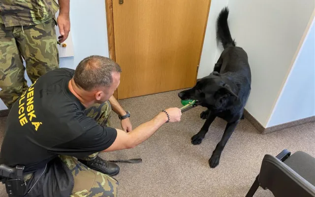 FOTO: Třebíčskou radnici navštívili čtyři psi. Úkol najít výbušniny splnili na jedničku
