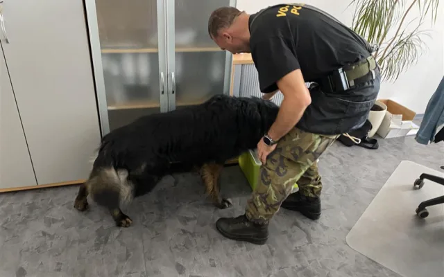 FOTO: Třebíčskou radnici navštívili čtyři psi. Úkol najít výbušniny splnili na jedničku