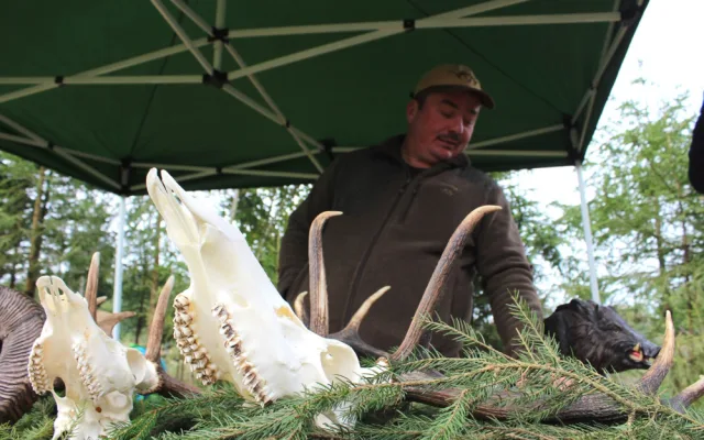 VIDEO: Den za obnovu lesa u Třeště zaujal stovky lidí. Viděly, jak pracuje harvestor i pětiletý tažný kůň