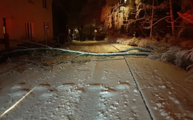 Hasiče a policisty zaměstnávají popadané stromy a nehody. Od půlnoci se stalo skoro 50 nehod