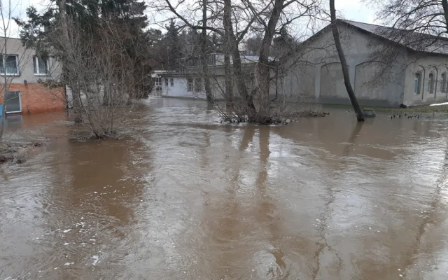Štědrý den očima hasičů: Popadané stromy, požár ze svíček, zatopené sklepy, povodeň v Dobroníně
