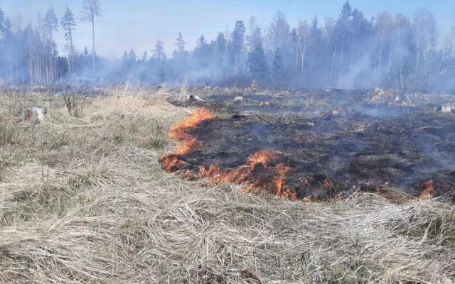 Foto: poskytl HZS Kraje Vysočina