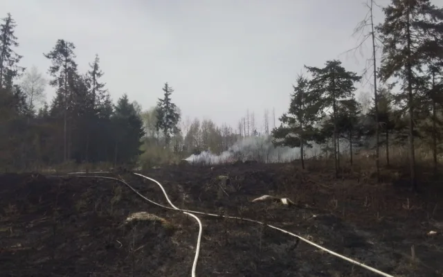 FOTO: Hasiče na Vysočině dnes zaměstnaly požáry trávy a mladých stromků. Podívejte se, jak zasahovali