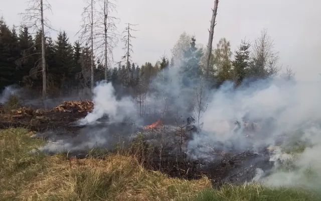 FOTO: Hasiče na Vysočině dnes zaměstnaly požáry trávy a mladých stromků. Podívejte se, jak zasahovali