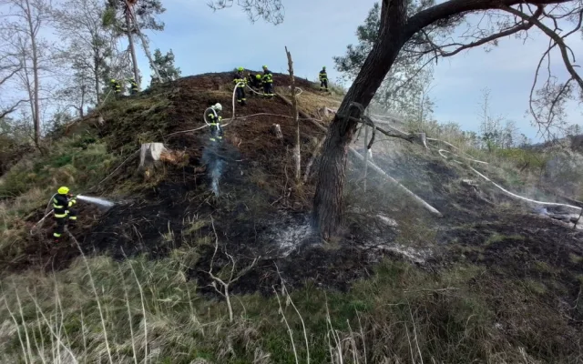 FOTO: Hasiče na Vysočině dnes zaměstnaly požáry trávy a mladých stromků. Podívejte se, jak zasahovali