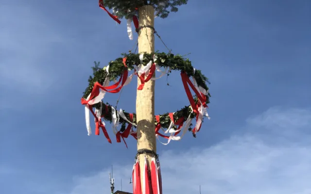 VIDEO: Májové slavnosti v Jihlavě ve znamení folkloru. Podívejte se na letošní zaplétání máje