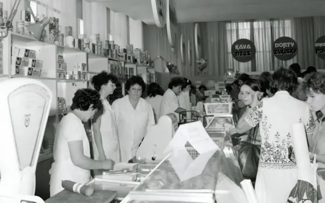 Země žívitelka v roce 1980