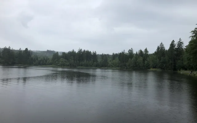 VIDEO: Má rybník čistou vodu? Lidem na Vysočině napoví barevný smajlík