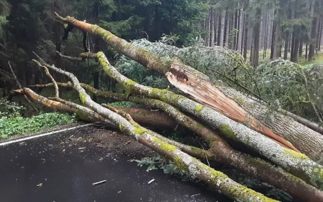 FOTO: Spadlé stromy na Vysočině zastavily vlaky, na Sázavě hrozí třetí povodňový stupeň