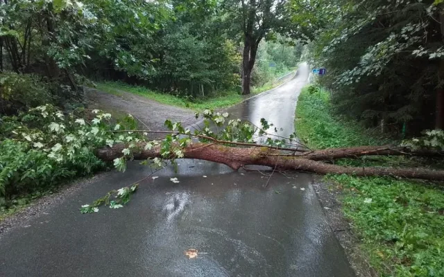 FOTO: Spadlé stromy na Vysočině zastavily vlaky, na Sázavě hrozí třetí povodňový stupeň