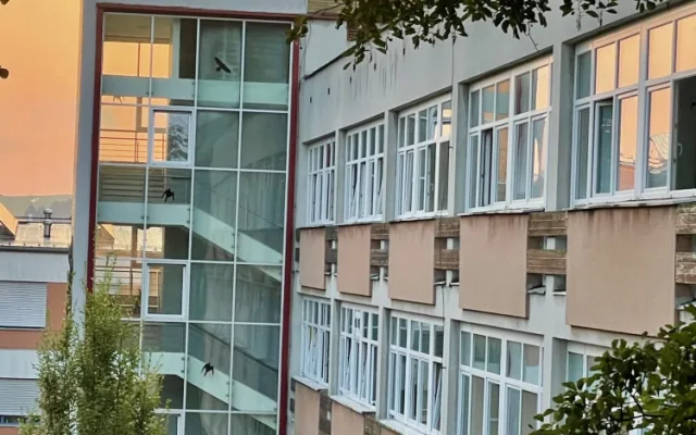 Pavilon z konce sedmdesátých let minulého století v novoměstské nemocnici prochází rekonstrukcí. Foto: se svolením Nemocnice Nové Město na Moravě