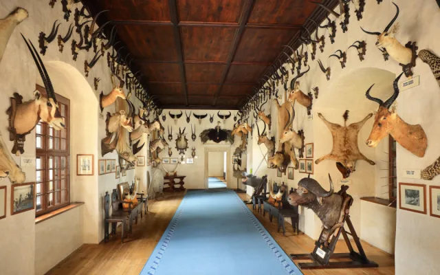 Africký sál. Foto: zamek-telc.cz