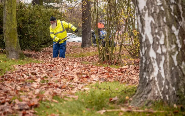 Pracovníci správy zeleně pracují celý rok. Místo sekání trávy nyní v Jihlavě uklízí listí