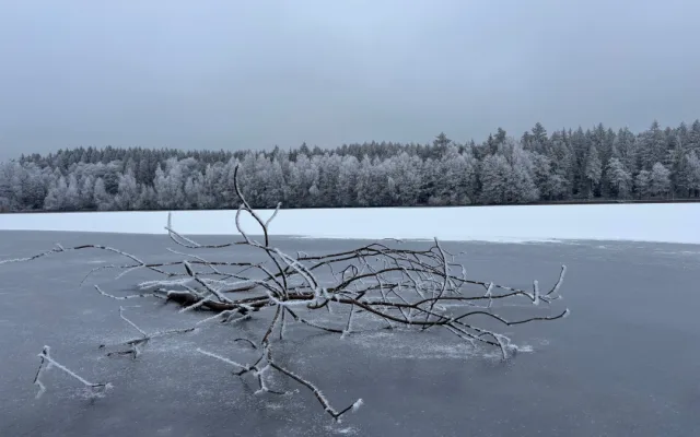 Bruslaři teď ve velkém vyhledávají Velké Dářko nebo rybník pod Zelenou horou