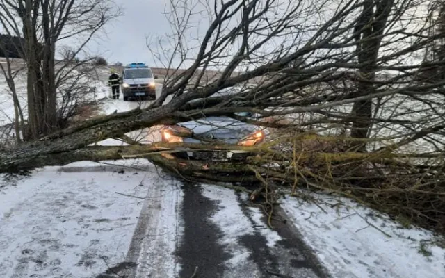 FOTO: Hasiče na Vysočině zaměstnal silný vítr. Jeden z řidičů narazil do spadlého stromu