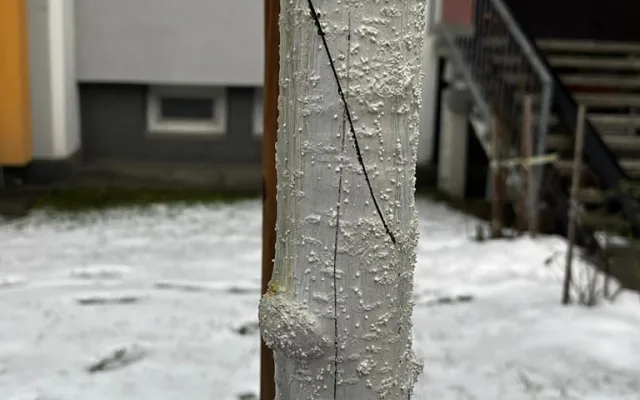 FOTO: Vandalismus ve Žďáru nad Sázavou. Někdo zde záměrně ničí stromy, do případu už se vložila policie