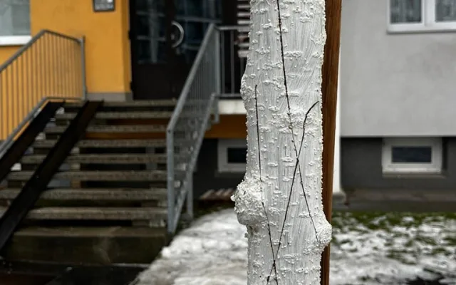 FOTO: Vandalismus ve Žďáru nad Sázavou. Někdo zde záměrně ničí stromy, do případu už se vložila policie