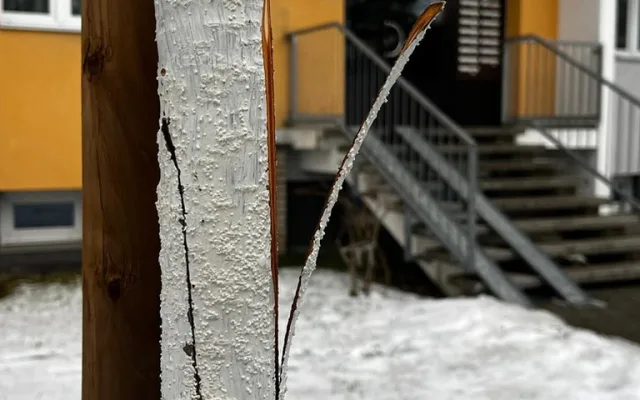 FOTO: Vandalismus ve Žďáru nad Sázavou. Někdo zde záměrně ničí stromy, do případu už se vložila policie