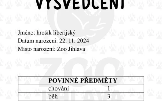 Zvířata v jihlavské zoo dostala také známky. Foto: Se svolením Zoologické zahrady Jihlava