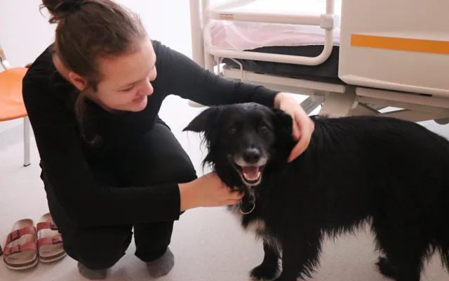 Za pacienty do novoměstské nemocnice chodí čtyřnohý lékař lidských duší. Foto: Se svolením Nemocnice Nové Město na Moravě