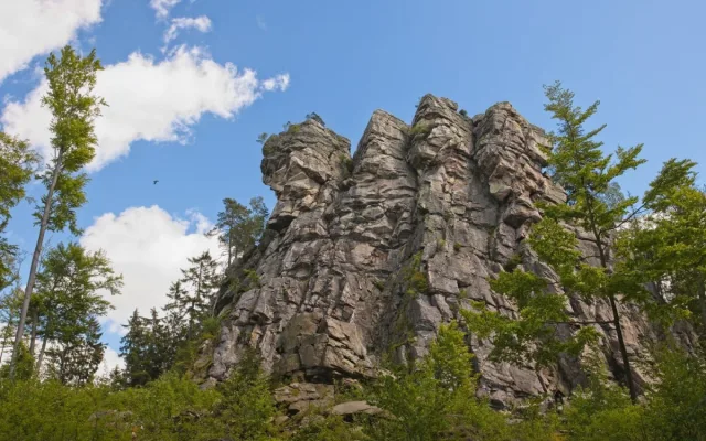 Ve Žďárských vrších mají sokoli dvě mláďata, předtím tam nehnízdili desítky let