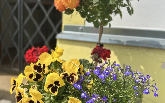 Obec Cejle, která získala ve Vesnici roku Zelenou stuhu, foto: Lenka Dvořáková