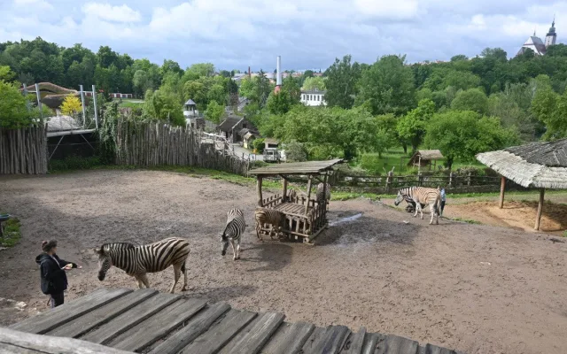 FOTO: Vstup za korunu, nebo komentovaná krmení zvířat. Prázdniny lákají do zoo