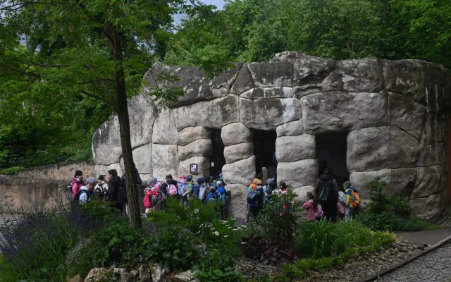 FOTO: Vstup za korunu, nebo komentovaná krmení zvířat. Prázdniny lákají do zoo