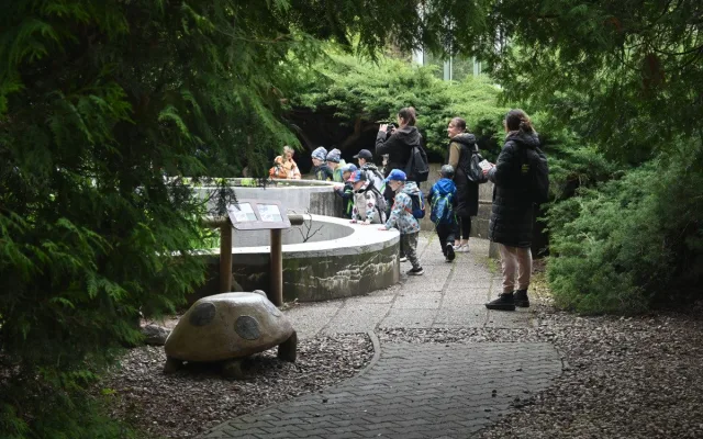 FOTO: Vstup za korunu, nebo komentovaná krmení zvířat. Prázdniny lákají do zoo