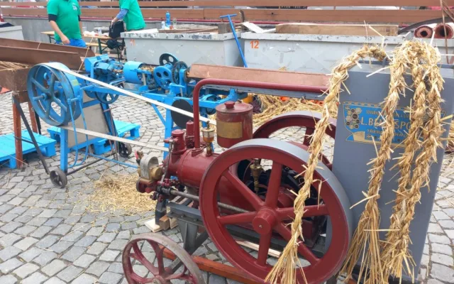 VIDEO: Dožínky nabízí historickou zemědělskou techniku v chodu, mrkvance i slepice