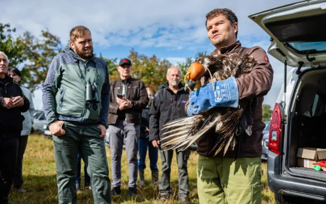 Pracovníci pavlovské záchranné stanice vypustili do přírody orla. Vybavili ho vysílačkou