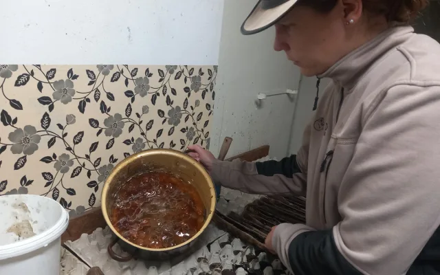 VIDEO: Drápkaté opičky si pochutnaly na hroznovém vínu. Nakrmit je může kdokoliv