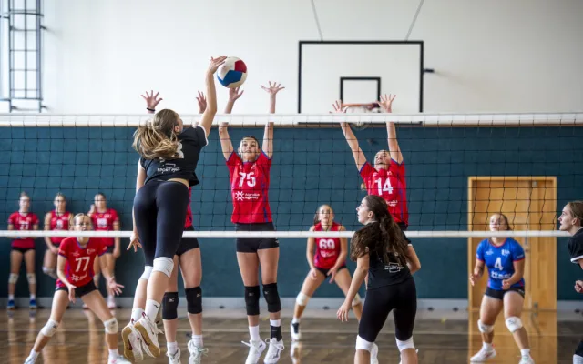 Ilustrační foto ze zápasů 1.ligy U20. Foto: Se svolením Volejbalu Jihlava