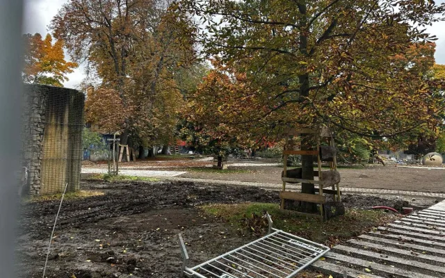 FOTO: Ve Smetanových sadech mají dělníci plno práce, musí stihnou otevření arény