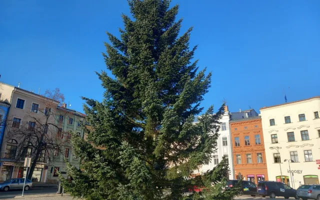 FOTO: Na náměstí v Jihlavě je vánoční strom, svítící ježci na lampách zatím chybí