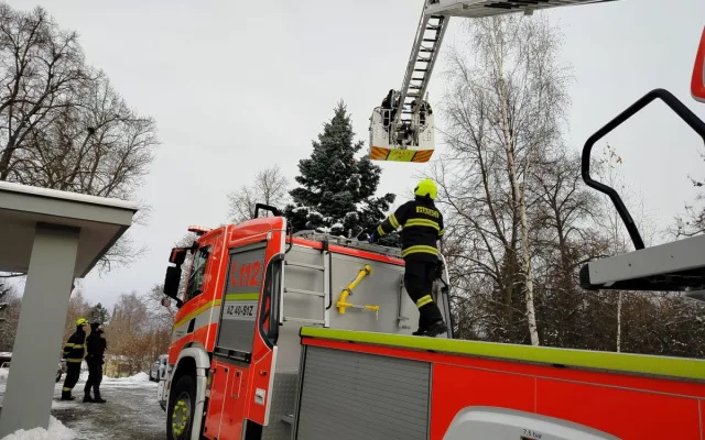 Muž se kolem půlnoci svlékl a vylezl na strom v centru Jihlavy. Pomoci se bránil. Foto: Se svolením ZZS Kraje Vysočina