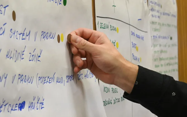 VIDEO: Bufet, fontána, nové toalety? Lidé debatovali o revitalizaci parku v Jihlavě