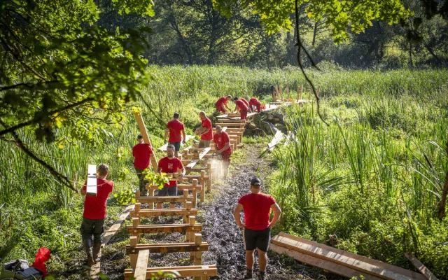 VIDEO: Netradiční teambuilding v Polné. Zaměstnanci vybudovali lávku i s hnízdem