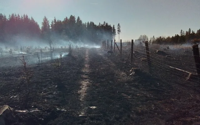 FOTO: Na Žďársku hořelo šest hektarů lesa. Požár zaměstnal 11 jednotek