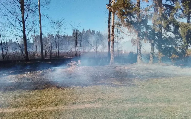 FOTO: Na Žďársku hořelo šest hektarů lesa. Požár zaměstnal 11 jednotek