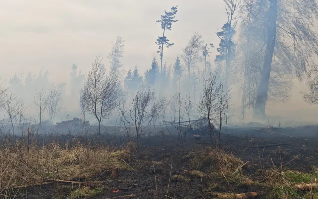 FOTO: Požár u Brzkova zaměstnává deset jednotek hasičů