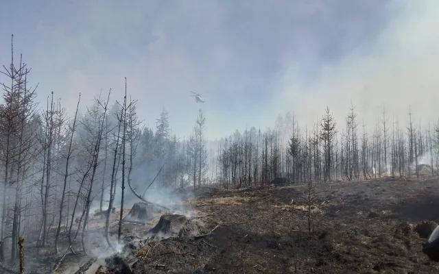 FOTO: Aktuálně u Třeště hoří les, hasí ho osm jednotek i vrtulník