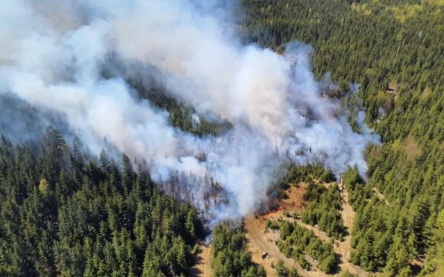 FOTO: Aktuálně u Třeště hoří les, hasí ho osm jednotek i vrtulník