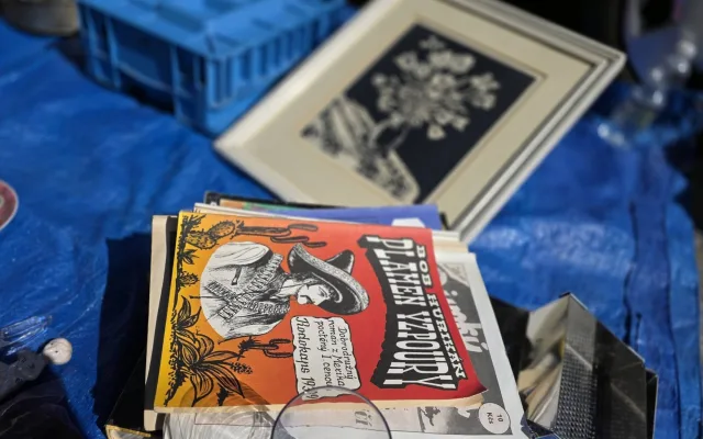 FOTO, VIDEO: Kolovrátek, rodokapsy i vinyly. Bleší trh v Polné byl poprvé v centru