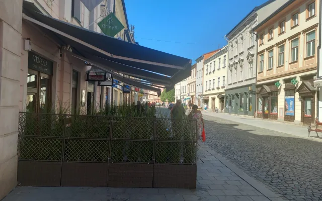 ANKETA: Nepříliš vysoké stromy a hnízda laviček oživují ulice v centru Jihlavy
