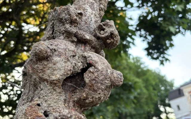 Ve Větrném Jeníkově bagrista vykopal hromadu železa. Může jít o historickou fontánu