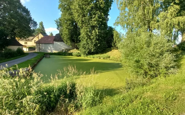 FOTO: Zelený rybník v Bradle bude minulostí, nahradí ho odpočinkové místo s lavičkami