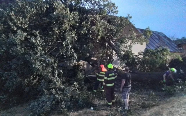 Vysočinu zasáhly další bouřky, padaly stromy. Domácnosti byly bez elektřiny