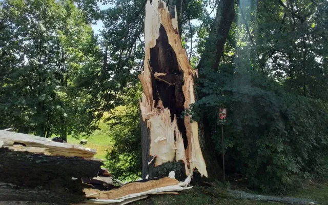 Další den, další bouřky. V Jihlavě spadl strom na auto, od poledne se hasiči nezastaví