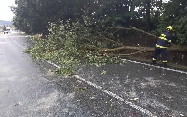 Další den, další bouřky. V Jihlavě spadl strom na auto, od poledne se hasiči nezastaví